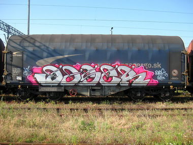 Graffiti Train - Photo by fr8pics - daser