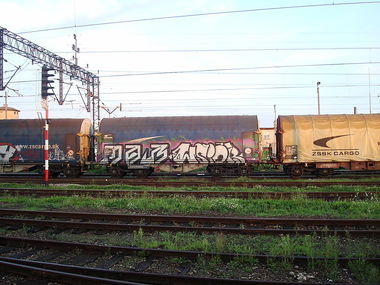 Graffiti Train - Photo by fr8pics - mar, wsiór