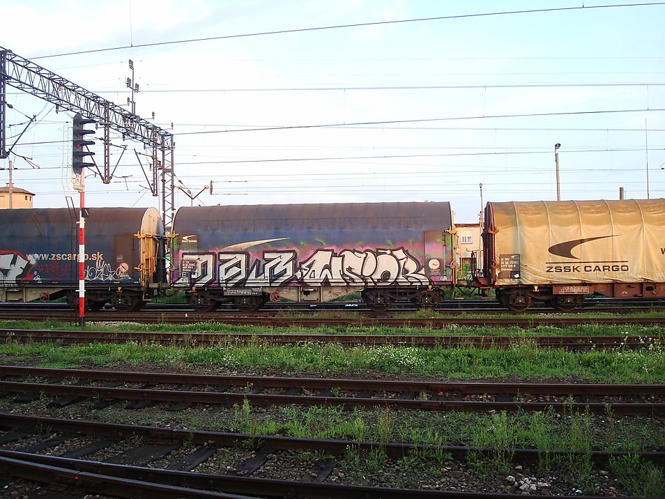Graffiti Train - Photo by fr8pics - mar, wsiór