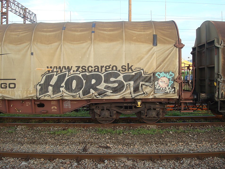 Graffiti Train - Photo by fr8pics - horst