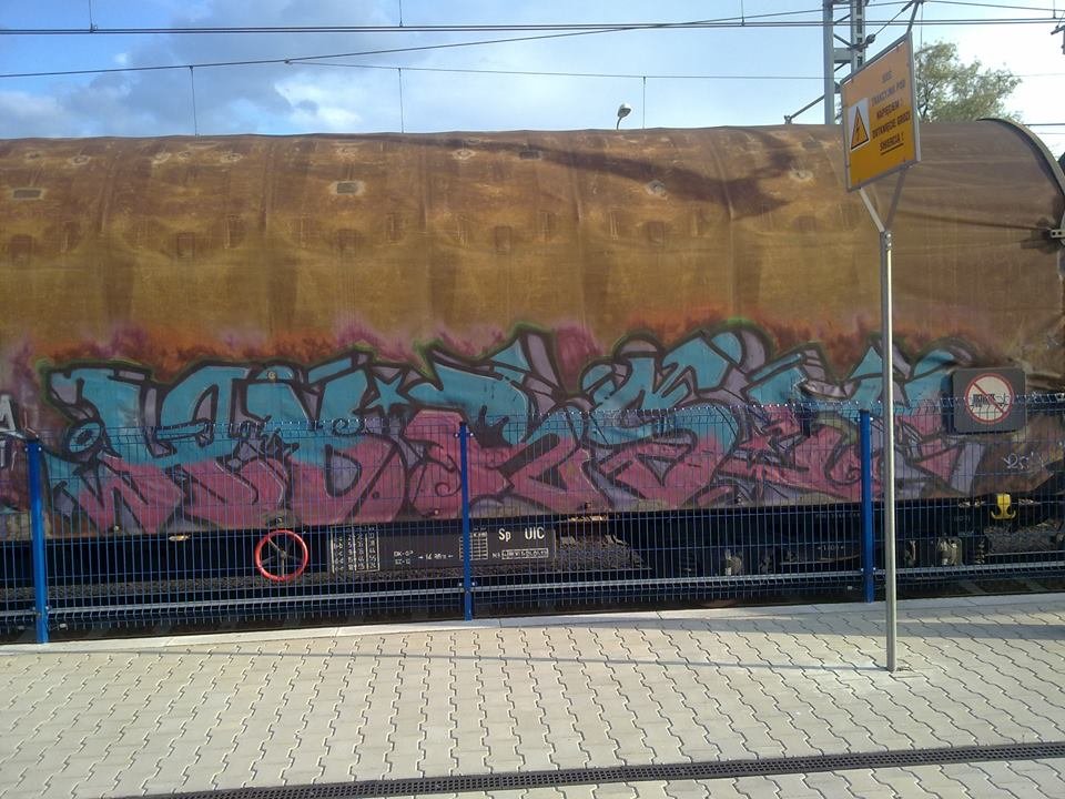 Graffiti Train - Photo by fr8pics - horst