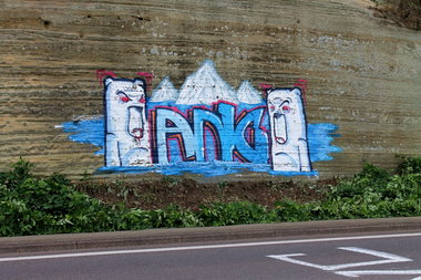 Graffiti Bombing - Photo by fragil - ANC