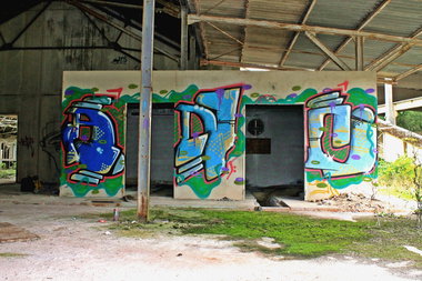 Graffiti Bombing - Photo by fragil - ANC