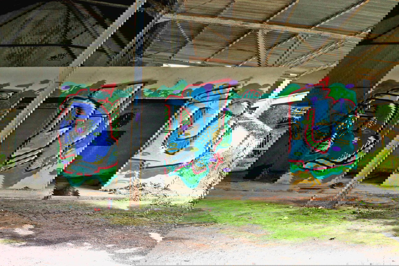 Graffiti Bombing - Photo by fragil - ANC