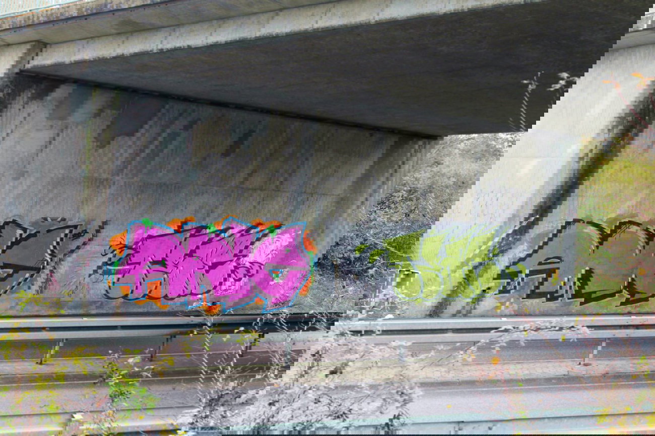 Graffiti Bombing - Photo by fragil - ANC, TEAR