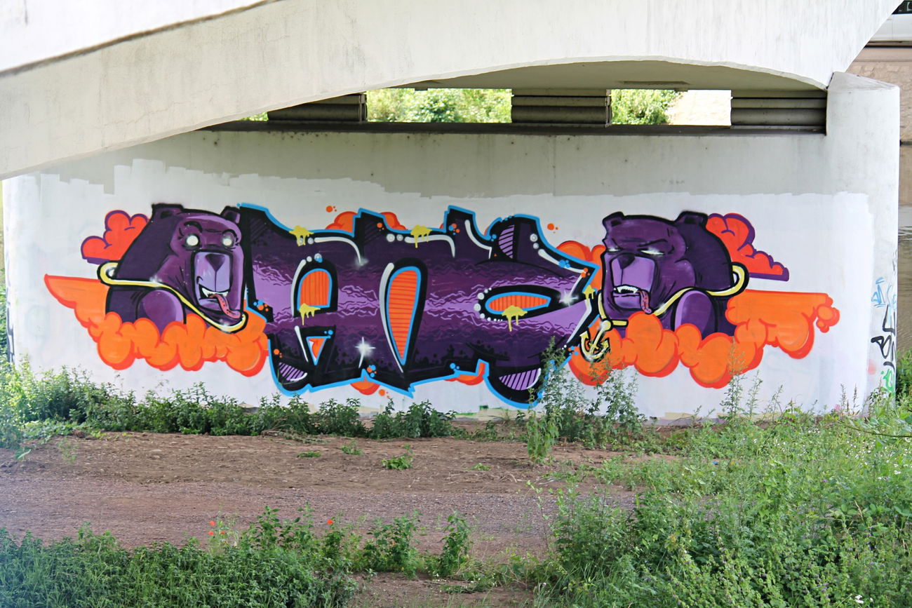 Graffiti Bombing - Photo by fragil - ANC