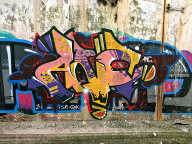 Graffiti Bombing - Photo by fragil - ANC