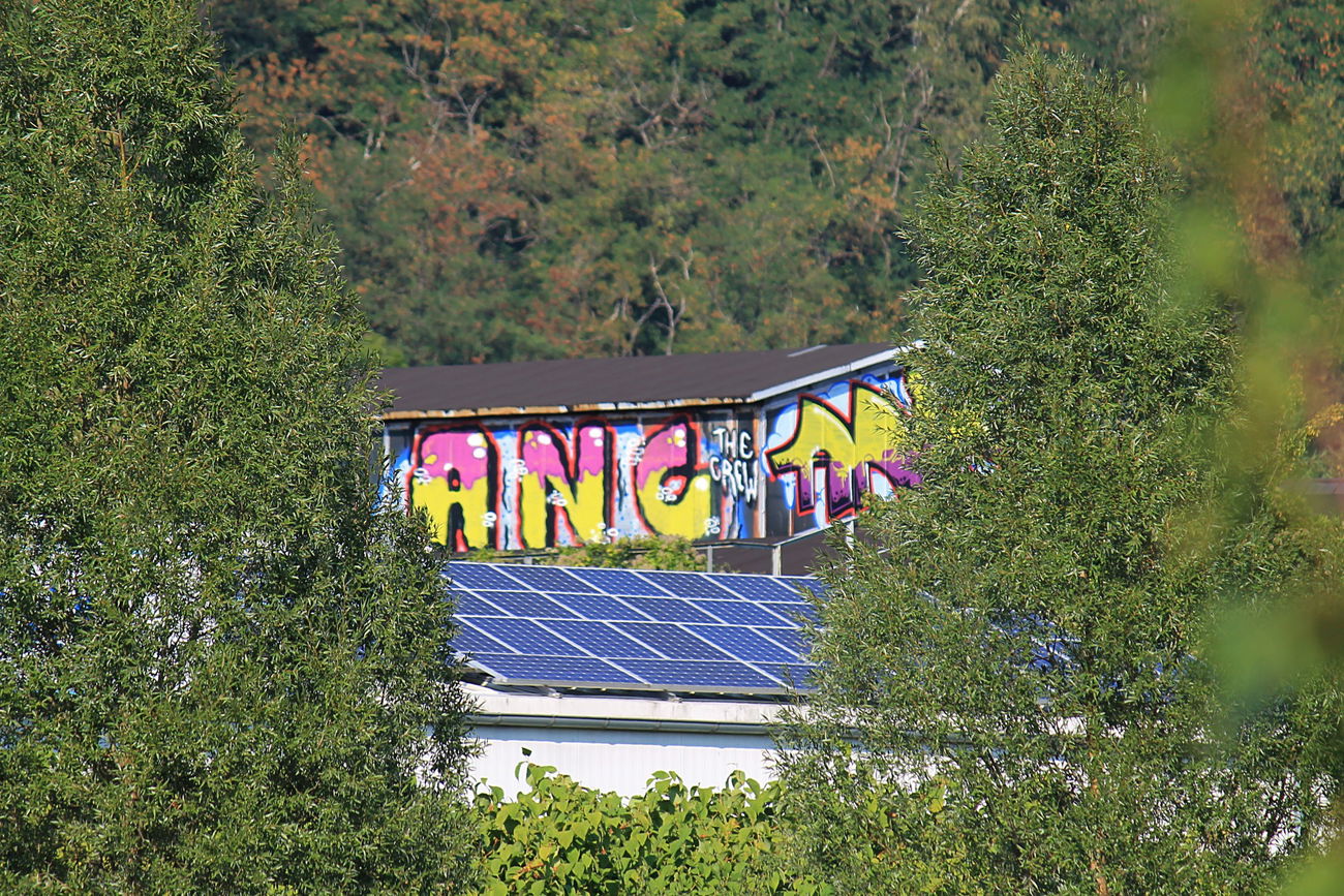 Graffiti Bombing - Photo by fragil - ANC