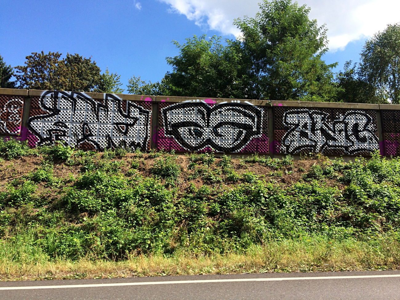 Graffiti Bombing - Photo by fragil - ANC, AG, ANC