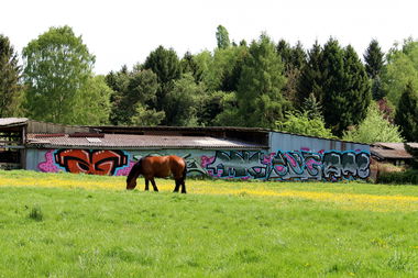 Graffiti Bombing - Photo by fragil - AG, Pferd, ANC