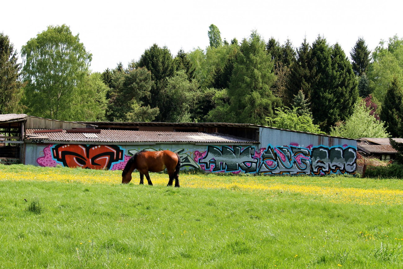 Graffiti Bombing - Photo by fragil - AG, Pferd, ANC