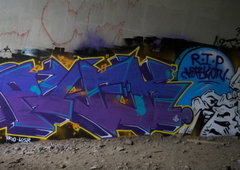 Photo #198891 by bocat