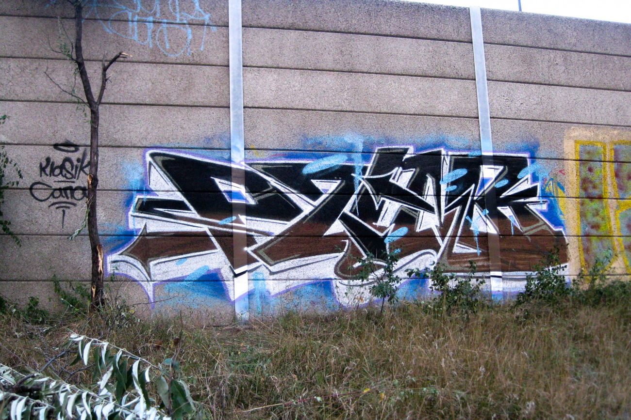 Graffiti Bombing - Photo by freaks - Punk, Fck, styles (2015)