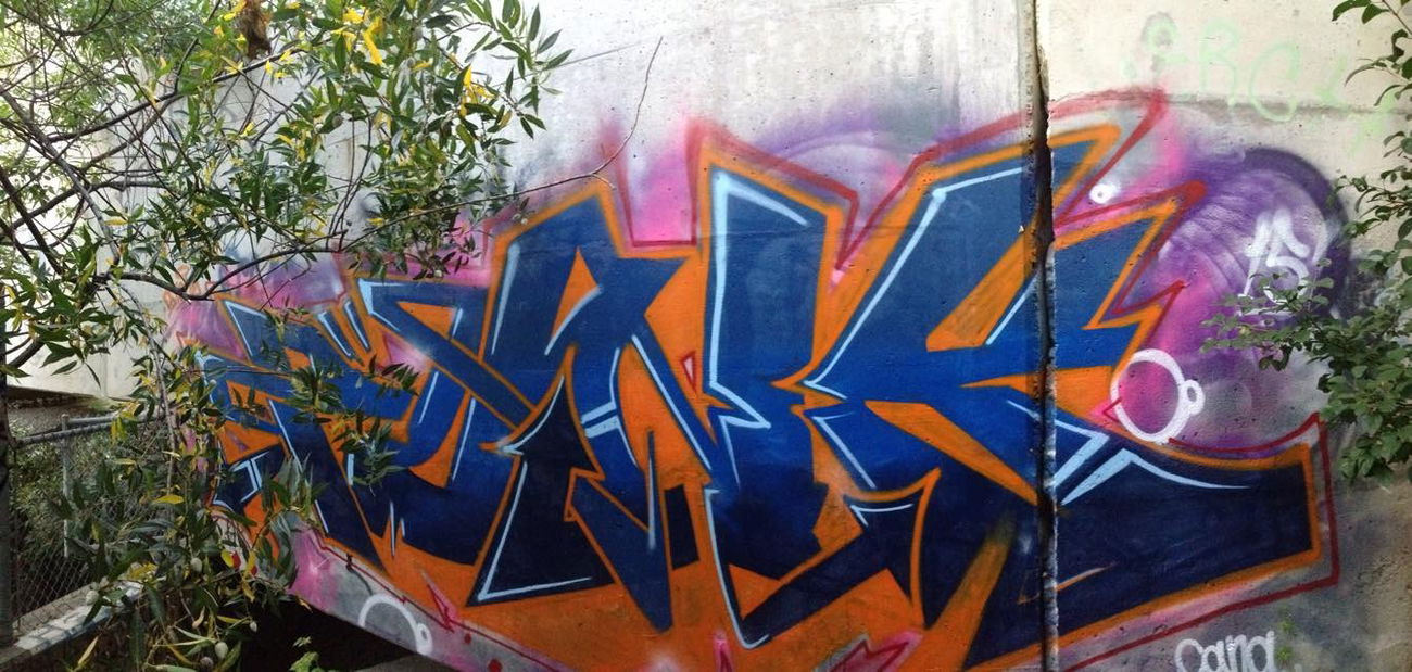 Graffiti Wall in Toronto - Photo by freaks - Punk, Fck, styles (2015)