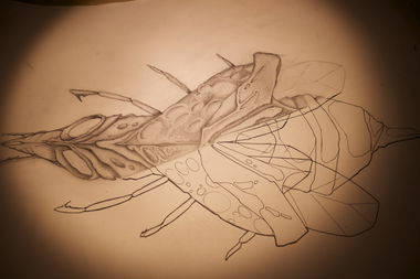 Graffiti Artwork - Photo by freddybongo (2016)