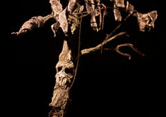 Photo #181970 by the_niggest