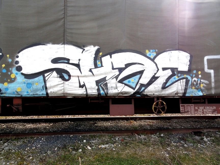 Graffiti Train - Photo by freightkilla - SHAE, graffiti, freight