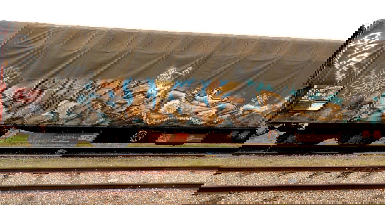 Graffiti Train - Photo by freightkilla - ewok, graffiti, freight