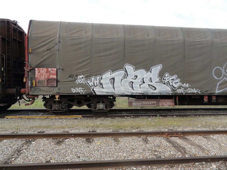 Graffiti Train - Photo by freightkilla - NAS, ifc, graffiti