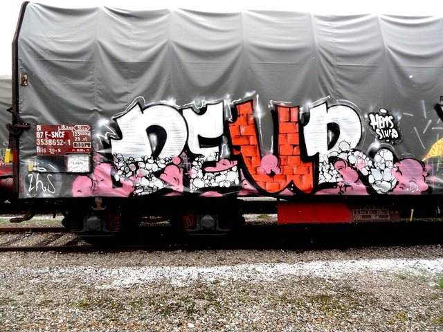 Graffiti Train - Photo by freightkilla - PEUR, graffiti, freight