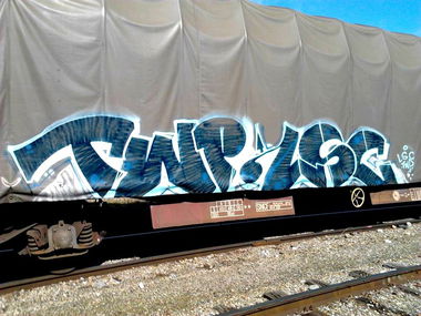 Graffiti Train - Photo by freightkilla - twp, lsc, shae