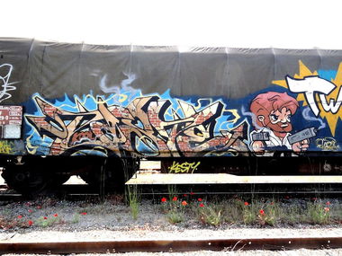 Graffiti Train - Photo by freightkilla - Paste, graffiti, france