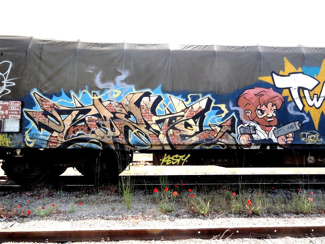 Graffiti Train - Photo by freightkilla - Paste, graffiti, france