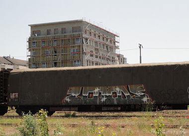 Graffiti Train - Photo by freightkilla - ZOIDS, graffiti, freight