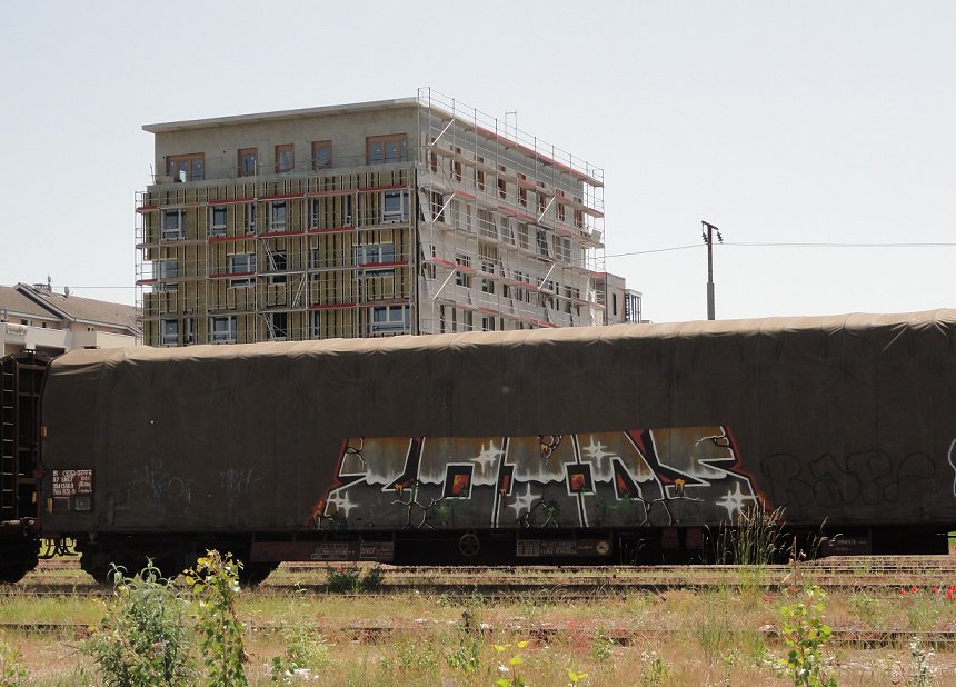 Graffiti Train - Photo by freightkilla - ZOIDS, graffiti, freight