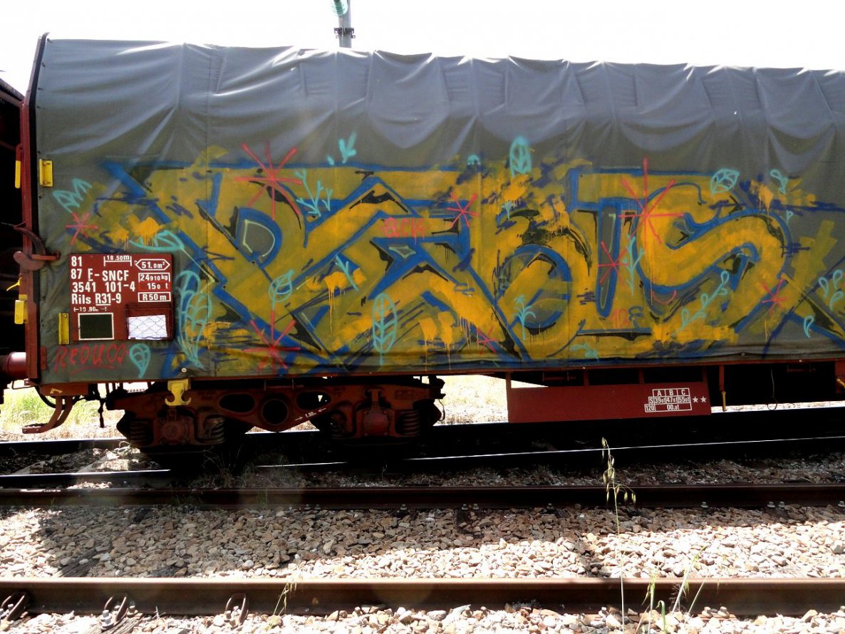 Graffiti Train - Photo by freightkilla - Rebus, graffiti, graff