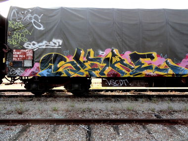 Graffiti Train - Photo by freightkilla - shae, lsc, graffiti