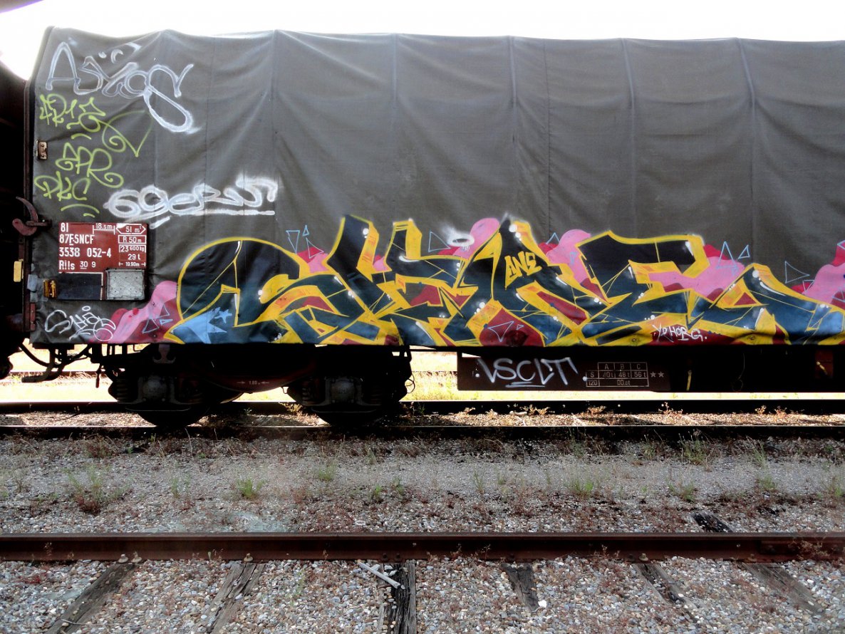 Graffiti Train - Photo by freightkilla - shae, lsc, graffiti