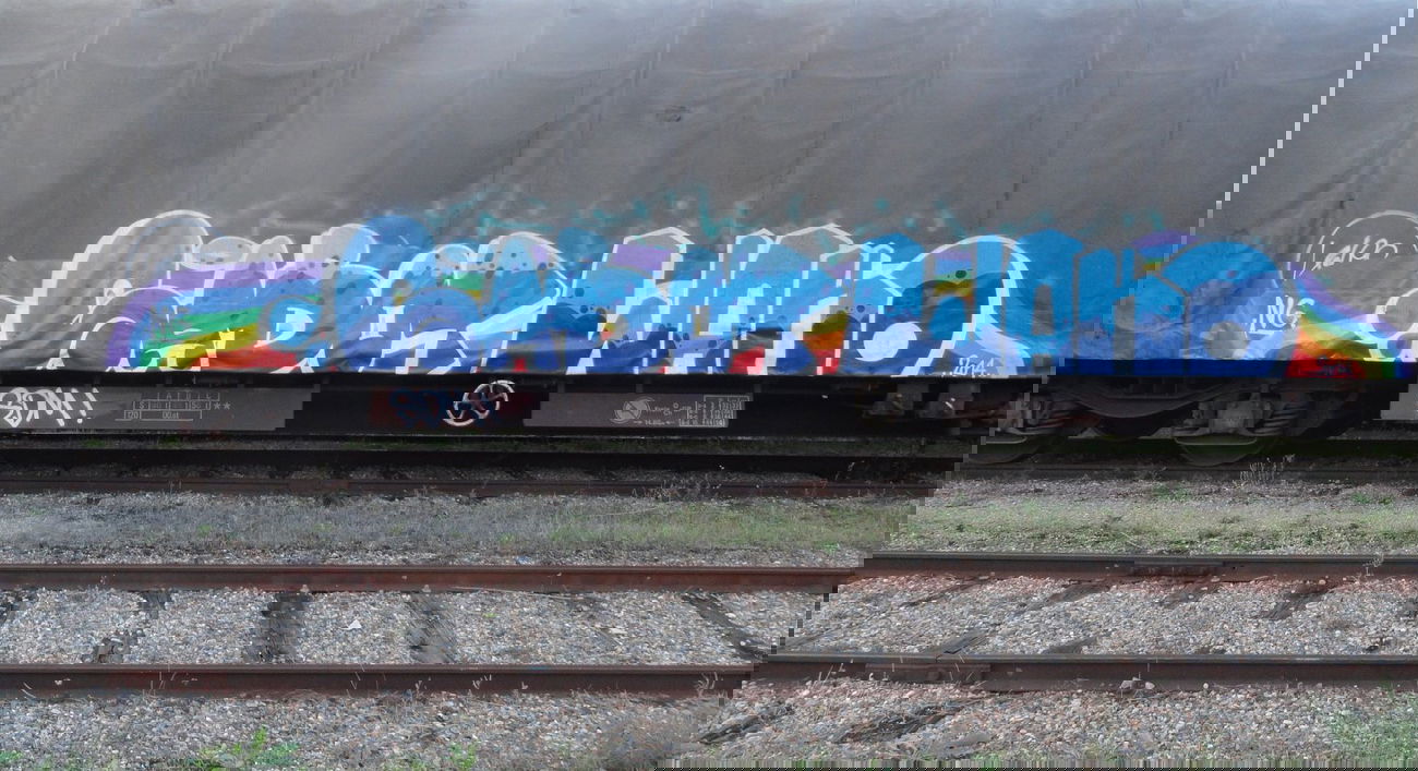 Graffiti Train - Photo by freightkilla - sabot, wako, ng