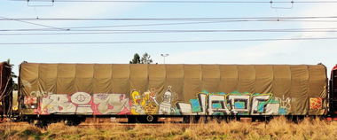 Graffiti Train - Photo by freightkilla - bio, jape, graffiti