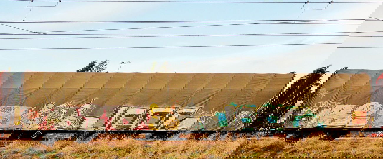 Graffiti Train - Photo by freightkilla - bio, jape, graffiti