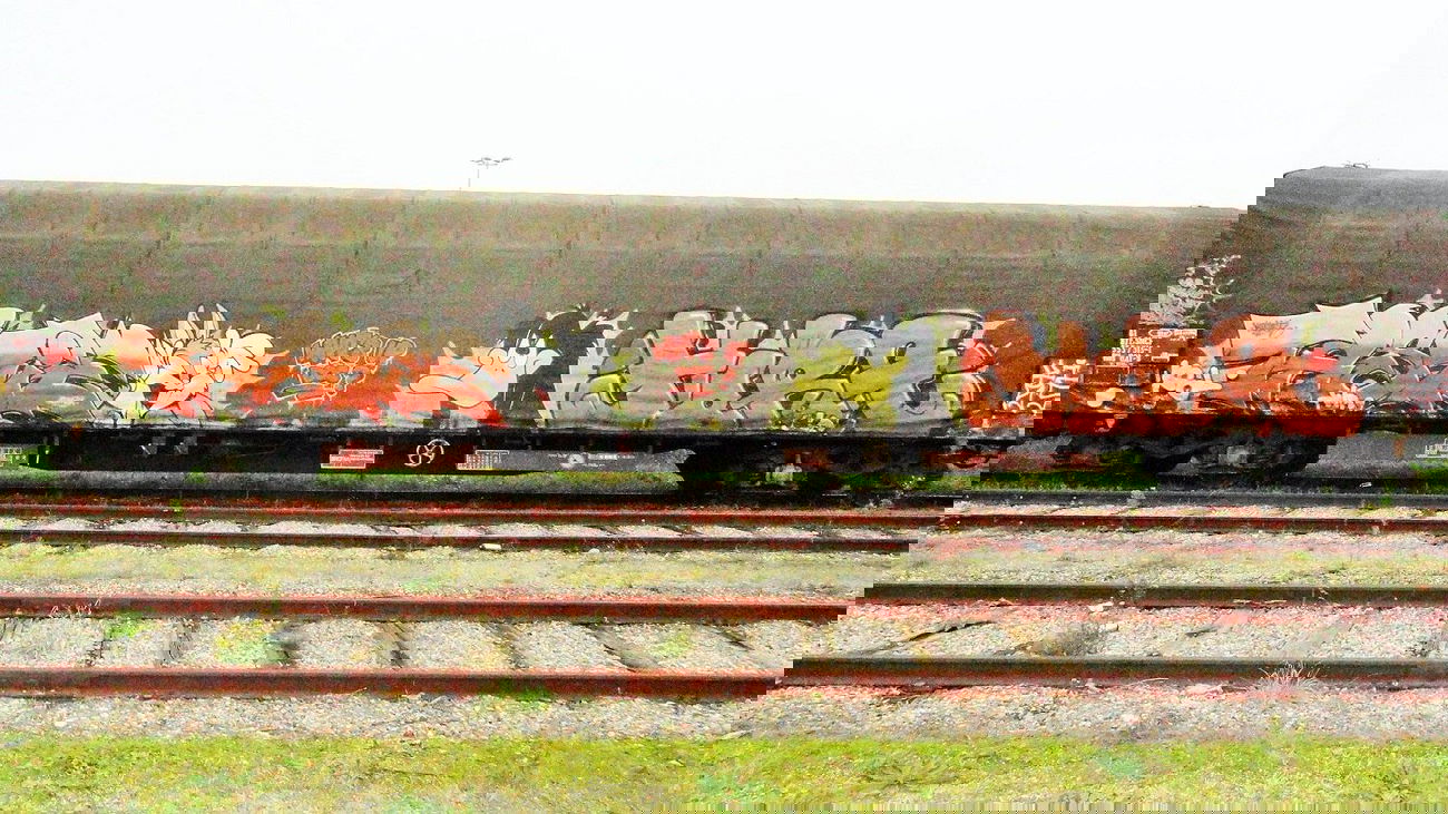 Graffiti Train in Provins - Photo by freightkilla - graffiti, tastie, hora