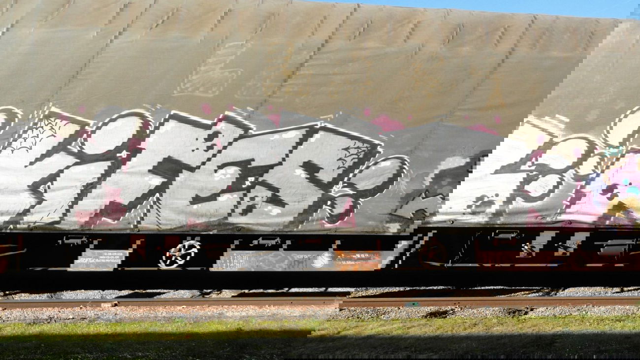 Graffiti Train - Photo by freightkilla - KIFES, graffiti