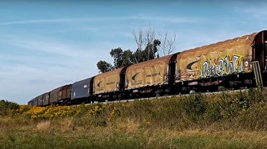 Graffiti Train in Česko - Photo by freightraffic - blew, fret, fr8 (2017)
