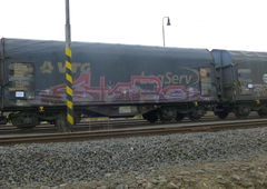 Photo #207629 by 5483r143