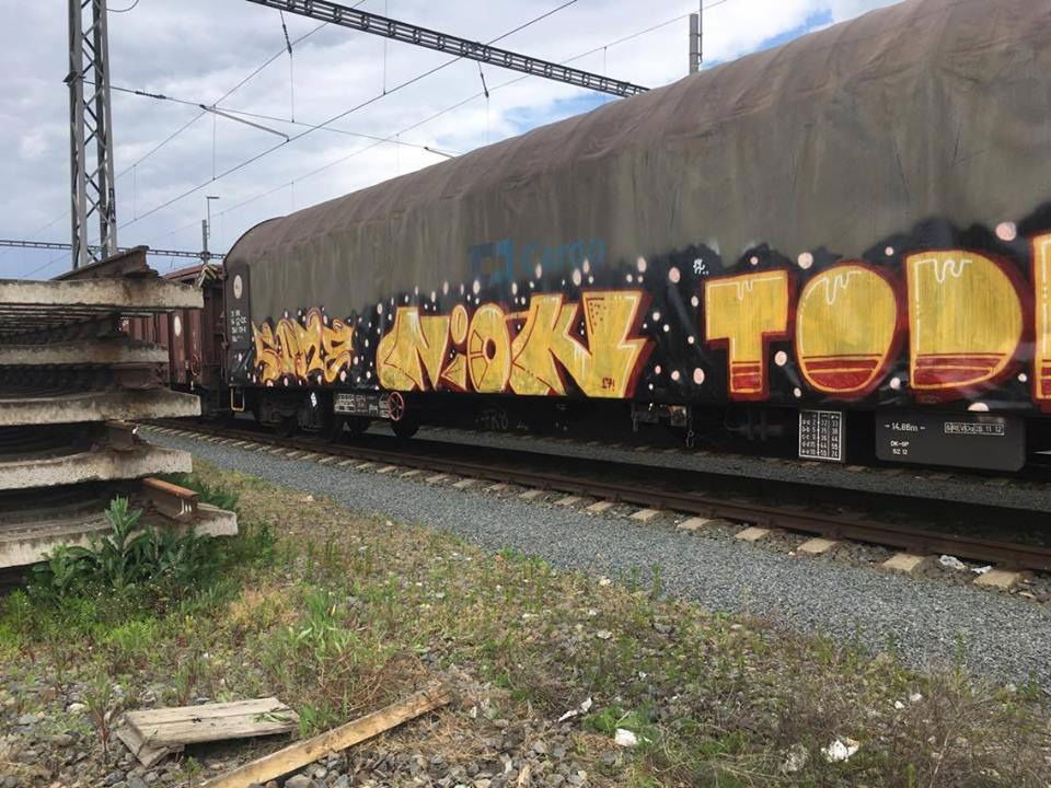 Graffiti Train in Česko - Photo by freightraffic - niok, graffiti, freight (2017)