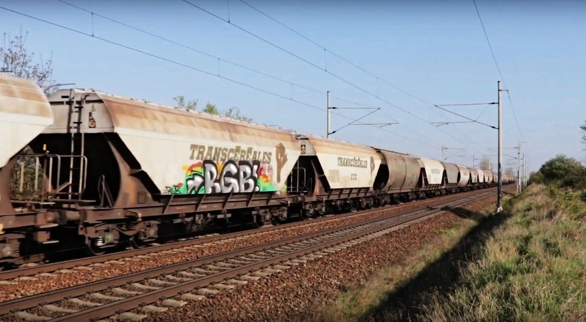 Graffiti Train in Česko - Photo by freightraffic - rgb, freight (2017)