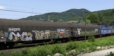 Graffiti in District of žilina - Photo by freightraffic - tree, redoy, freight (2016)