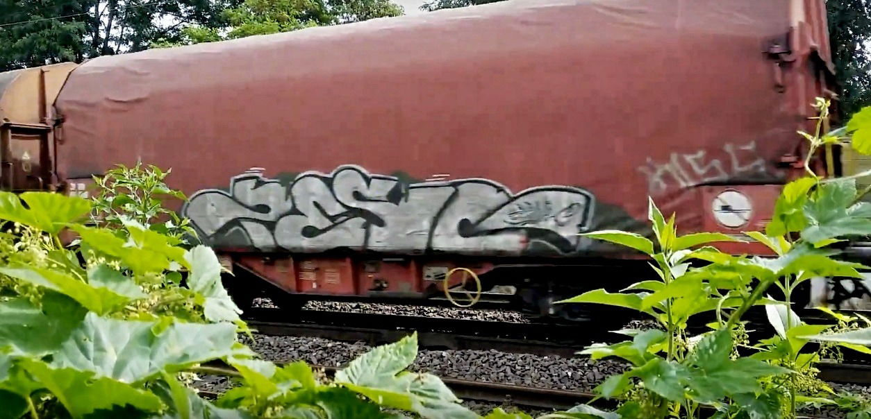 Graffiti Train in Česko - Photo by freightraffic - peso, fr8, freight (2016)