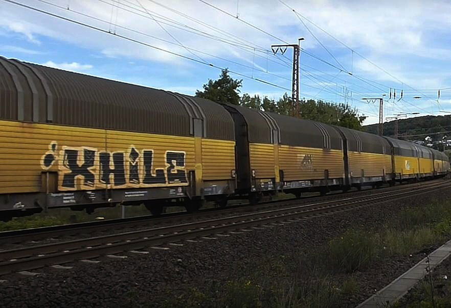 Graffiti Train in Rakousko - Photo by freightraffic - xhile, freight, fr8 (2016)