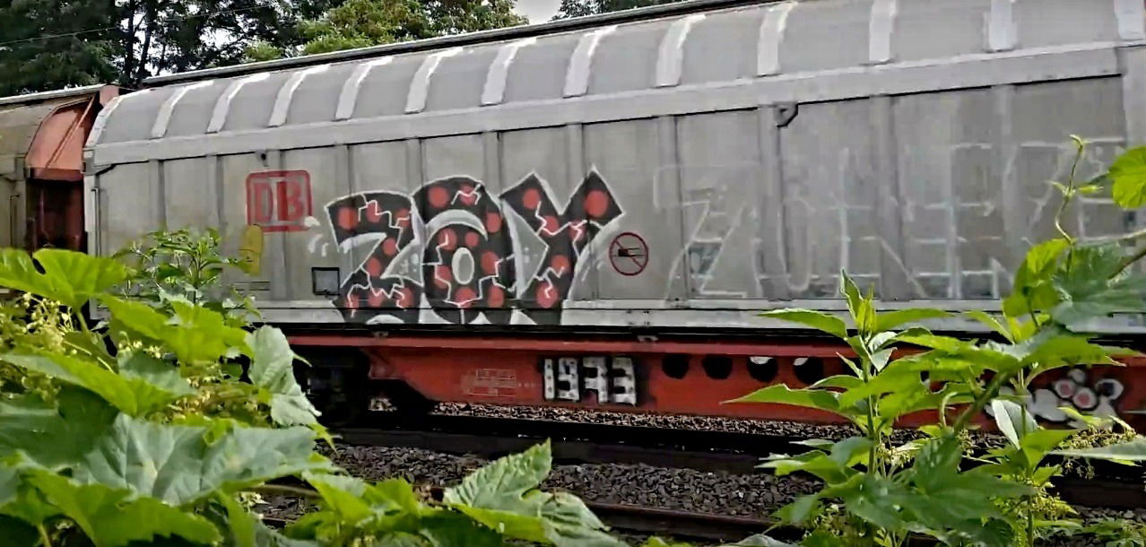 Graffiti Train in Česko - Photo by freightraffic - zay, 1973, fr8 (2016)
