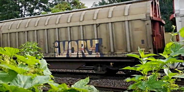 Graffiti Train in Česko - Photo by freightraffic - ivory, fr8, freight (2016)