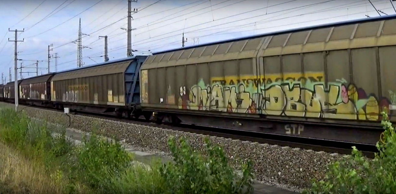 Graffiti Train in Česko - Photo by freightraffic - miami, dbus, transwagon (2015)