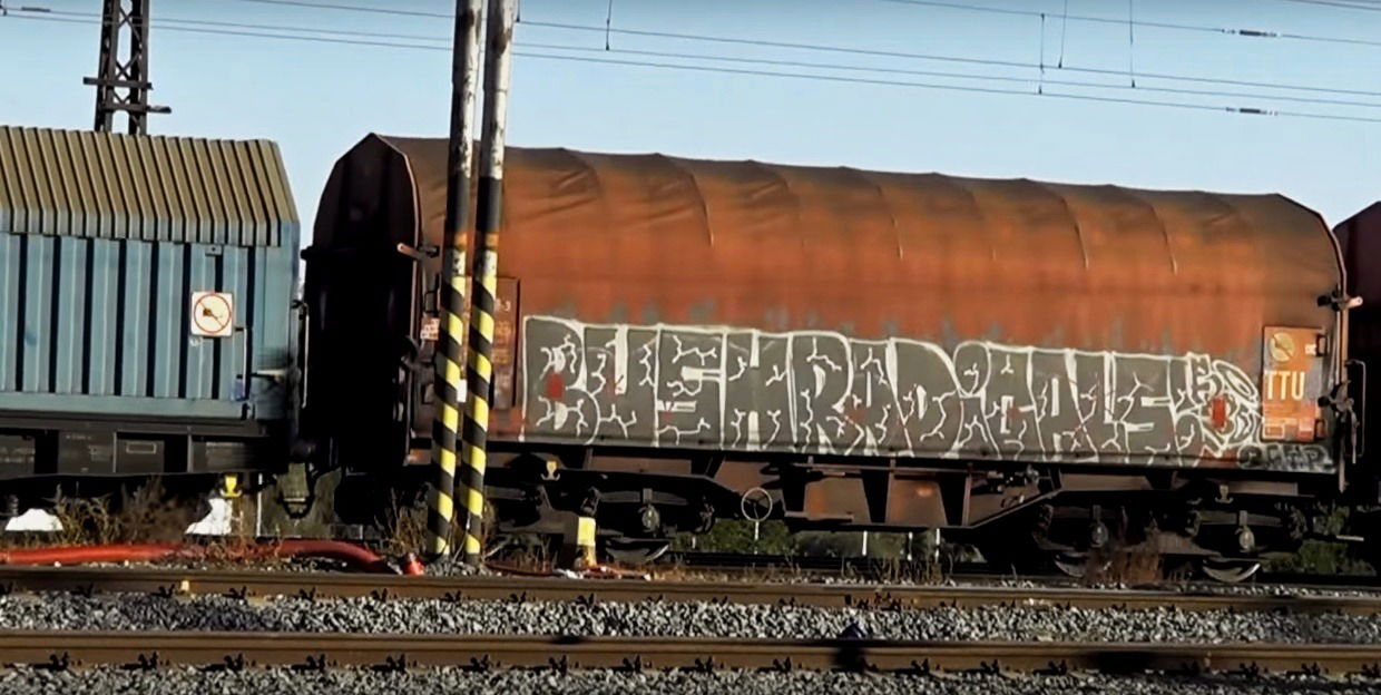 Graffiti Train in Olomouc - Photo by freightraffic - bushradicals, freight