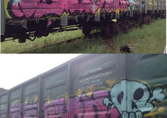 Photo #8326 by Nets1