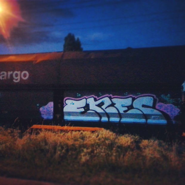 Graffiti Train - Photo by froschfurz - Ehec (2013)